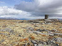 opps_20201007_5f7e05e64e1a2.jpg