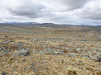 opps_20201007_5f7e05e84a7e6.jpg