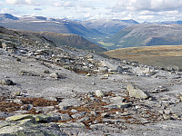 opps_20201007_5f7e05ea1f9d0.jpg