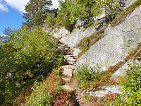 opps_20201007_5f7e081928cc6.jpg