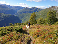 opps_20201007_5f7e081b67ef5.jpg
