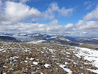 opps_20201007_5f7e0849a510a.jpg