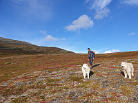opps_20201007_5f7e08abc4b01.jpg