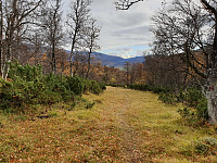 opps_20201008_5f7f8469d4508.jpg