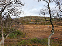 opps_20201008_5f7f846c3b430.jpg