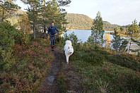 opps_20201011_5f82f1d6437df.jpg