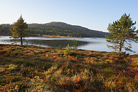 opps_20201011_5f82f1d8da45b.jpg