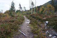 opps_20201011_5f83014a51282.jpg