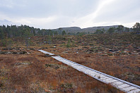 opps_20201011_5f830154cbe8e.jpg