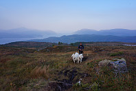 opps_20201011_5f8301594e0fd.jpg