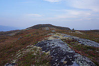 opps_20201011_5f83016a5ded6.jpg