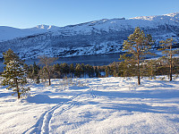 opps_20201025_5f95805e620e7.jpg