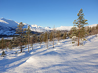 opps_20201025_5f9580602025e.jpg