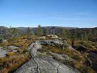 opps_20201115_5fb180c0f2fb7.jpg