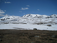 opps_20201202_5fc7e938cdcf1.jpg