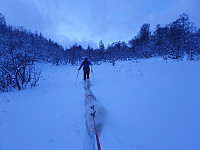 opps_20201215_5fd90413ade3e.jpg