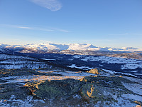opps_20201215_5fd90631de497.jpg