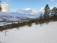 opps_20201215_5fd90aaad02c1.jpg