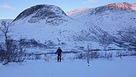opps_20201215_5fd90ab33690f.jpg