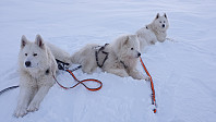 opps_20201215_5fd90ab648ce0.jpg