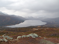 opps_20201215_5fd90c54a1d4f.jpg