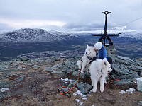 opps_20201215_5fd921152aee5.jpg