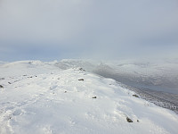 opps_20201215_5fd92275eb36b.jpg