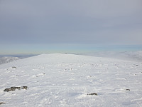 opps_20201215_5fd92276cf26a.jpg
