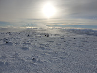 opps_20201215_5fd92277db19e.jpg