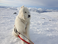 opps_20201215_5fd92279321a0.jpg