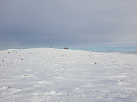 opps_20201215_5fd9227b91a28.jpg