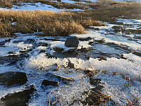 opps_20201216_5fda1b5d89221.jpg
