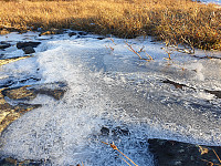 opps_20201216_5fda1b5f7db54.jpg