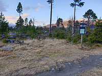opps_20201216_5fda1b62c9f72.jpg
