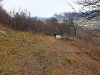 opps_20201216_5fda1e169f9f6.jpg