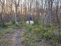 opps_20201216_5fda205a8d359.jpg