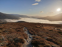 opps_20201216_5fda205d09d00.jpg
