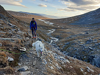 opps_20201216_5fda206232d72.jpg