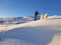 opps_20201216_5fda2f9332c0b.jpg