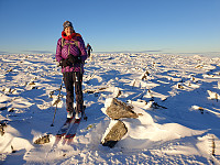 opps_20201216_5fda2f9a939a3.jpg