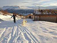 opps_20201216_5fda3fe8e2ff1.jpg