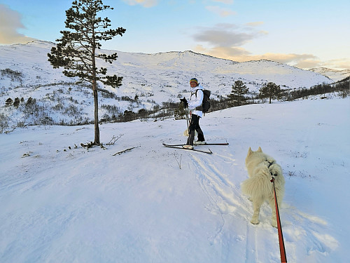 På tur innover Londalen