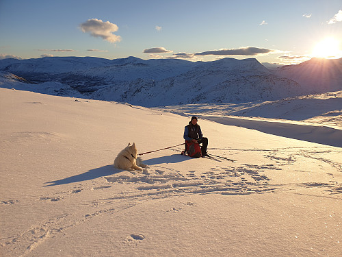 En liten pause i solskinnet.