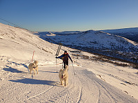opps_20201220_5fdf7944b83bf.jpg