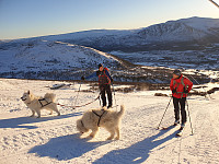 opps_20201220_5fdf79468aaaa.jpg