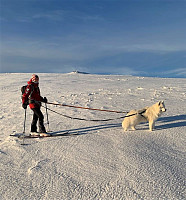 opps_20201220_5fdf794de6fe2.jpg