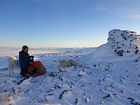 opps_20201220_5fdf7951d6f7b.jpg