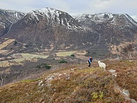 opps_20201220_5fdf815b1d02d.jpg