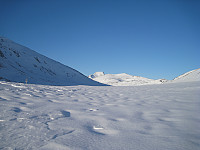 opps_20210114_6000b146070f8.jpg