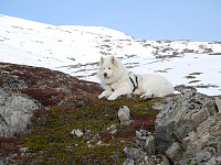 opps_20210114_6000b495157de.jpg
